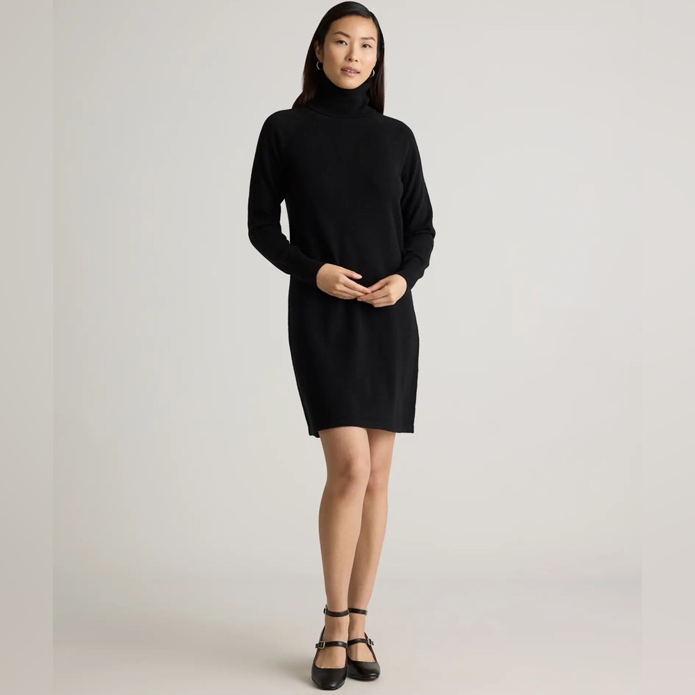 Cashmere Turtleneck Dress like new!